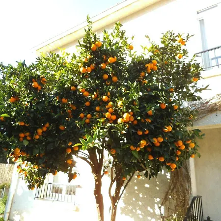 Au Bougainvillier 3*