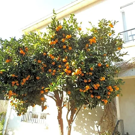 Bed & Breakfast Au Bougainvillier Perpignan