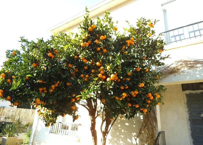 Au Bougainvillier 3*